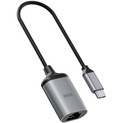 Rolio USB-C-Adapter – USB-C zu Ethernet – 1 Gbit/s